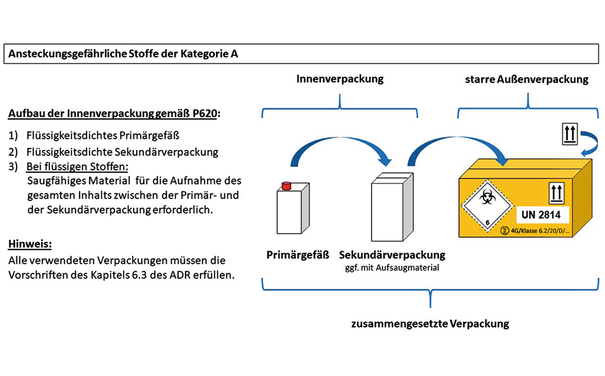 Grafik infektiöse Stoffe Klasse 6_2 1200
