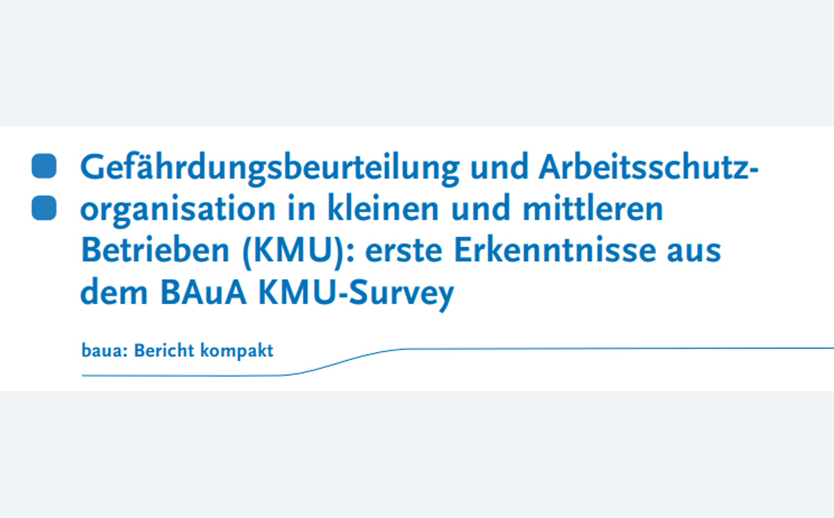 BAuA-Studie Gefährdungsbeurteilung BAuA-Studie Gefährdungsbeurteilung