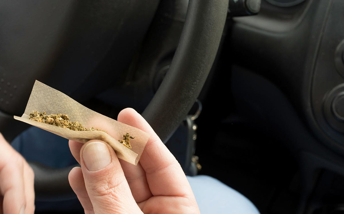 Cannabis Drogen Fahrer