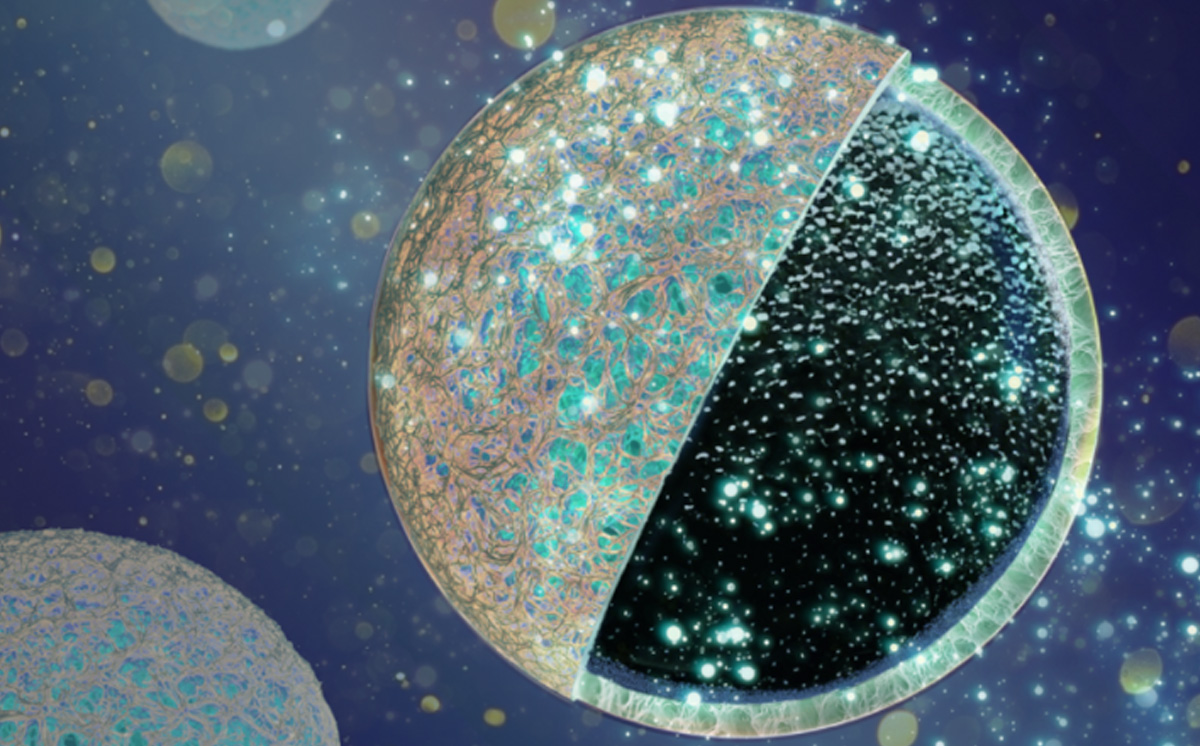 Schutzschicht Anode Batterie