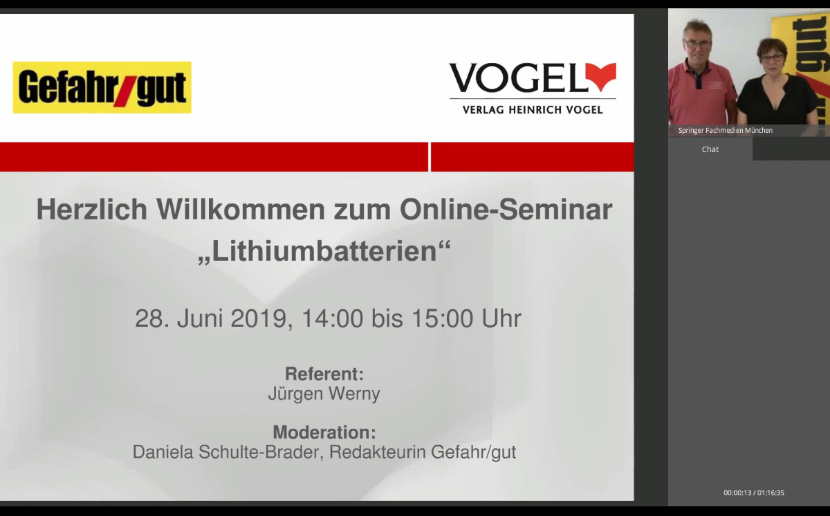 Screenshot Webinar 28_6_19 Werny dsb 1200