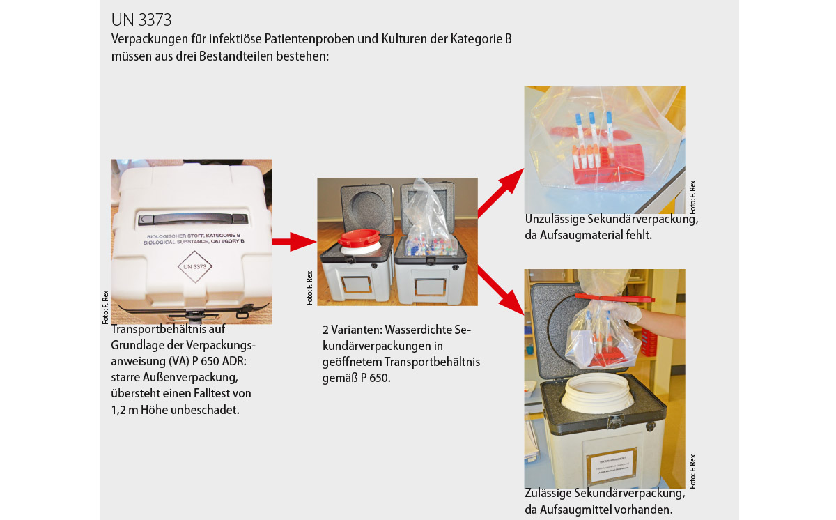 Verpackung UN 3373 1200