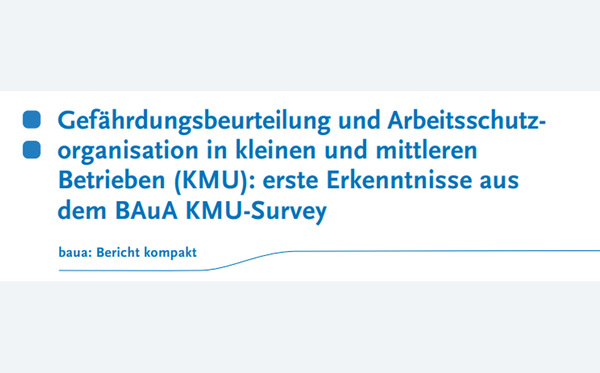 BAuA-Studie Gefährdungsbeurteilung