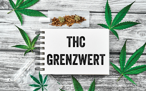 Cannabis THC Grenzwert